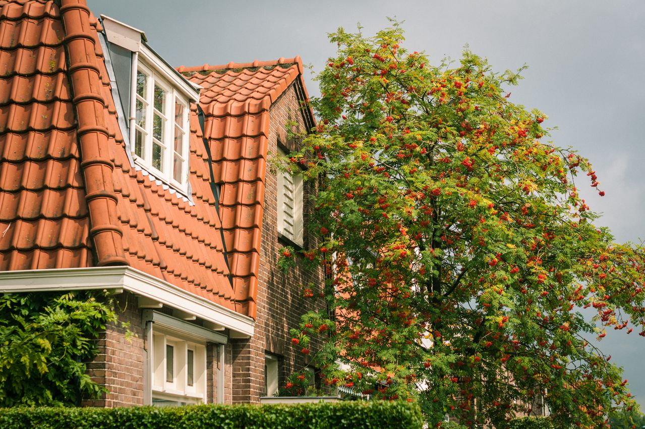 Dakkapellen reinigen: zo blijft uw dakkapel schoon en goed onderhouden