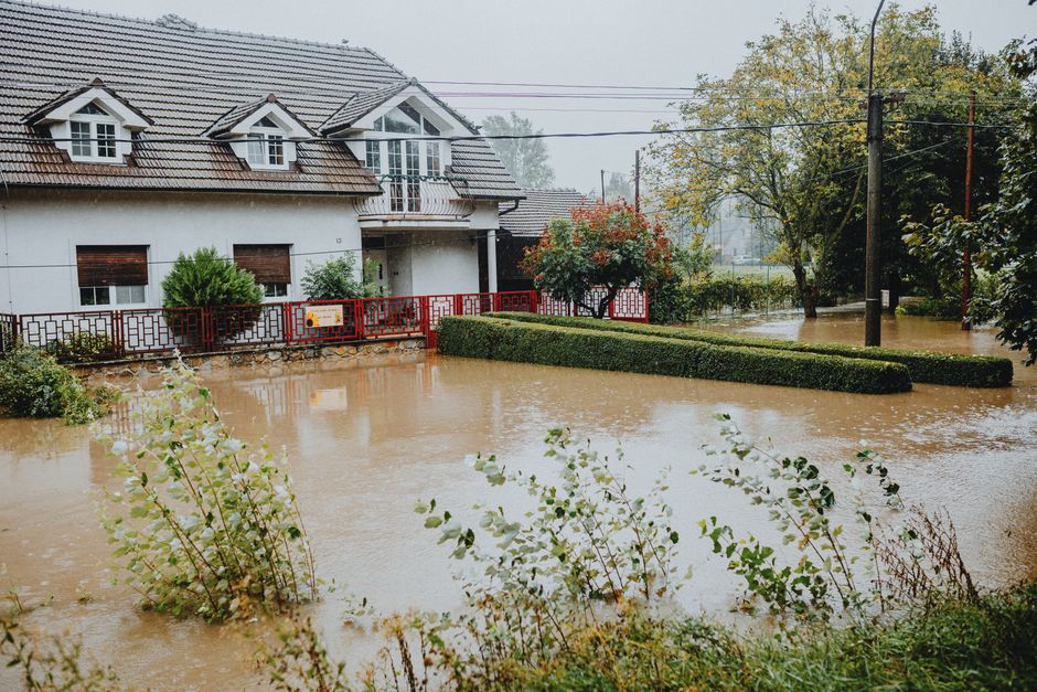 waterschade opruimen, lekkage eerste stappen foto bij Waterschade opruimen: eerste stappen na een lekkage of overstroming