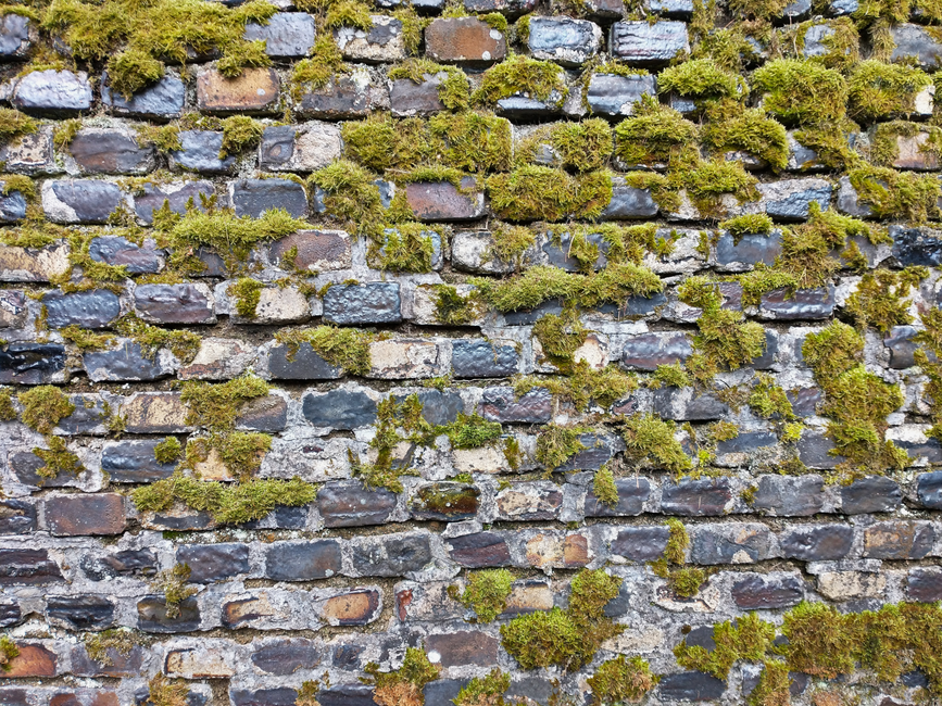 groene aanslag gevel, mos verwijderen huis foto bij Groene aanslag op de gevel van uw huis verwijderen